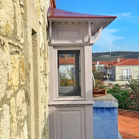 Maison D'azur