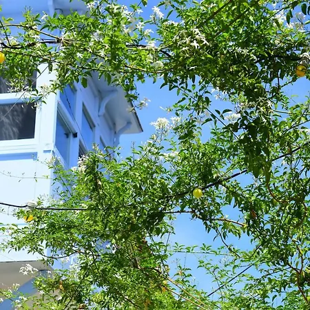 Maison D'azur 4*